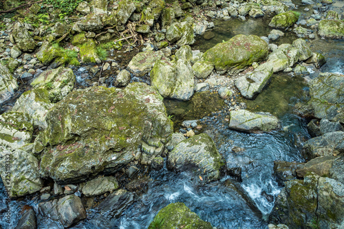 water running through the rocky creek with rocks covered in green mosses