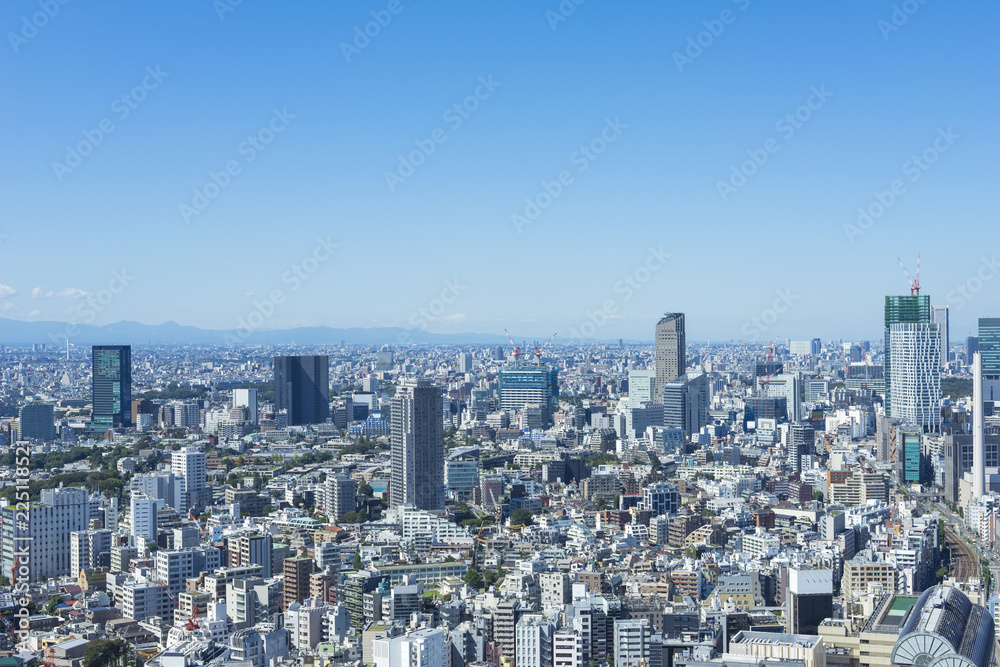 cityscape of tokyo   shinjyuku shibuya meguro