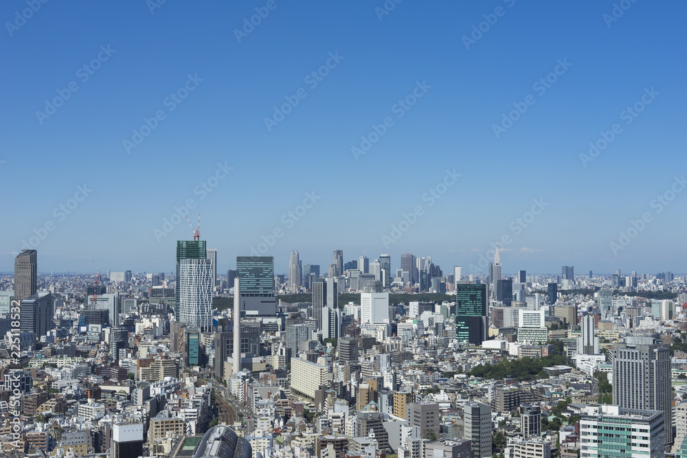 Fototapeta premium cityscape of tokyo shinjyuku shibuya meguro