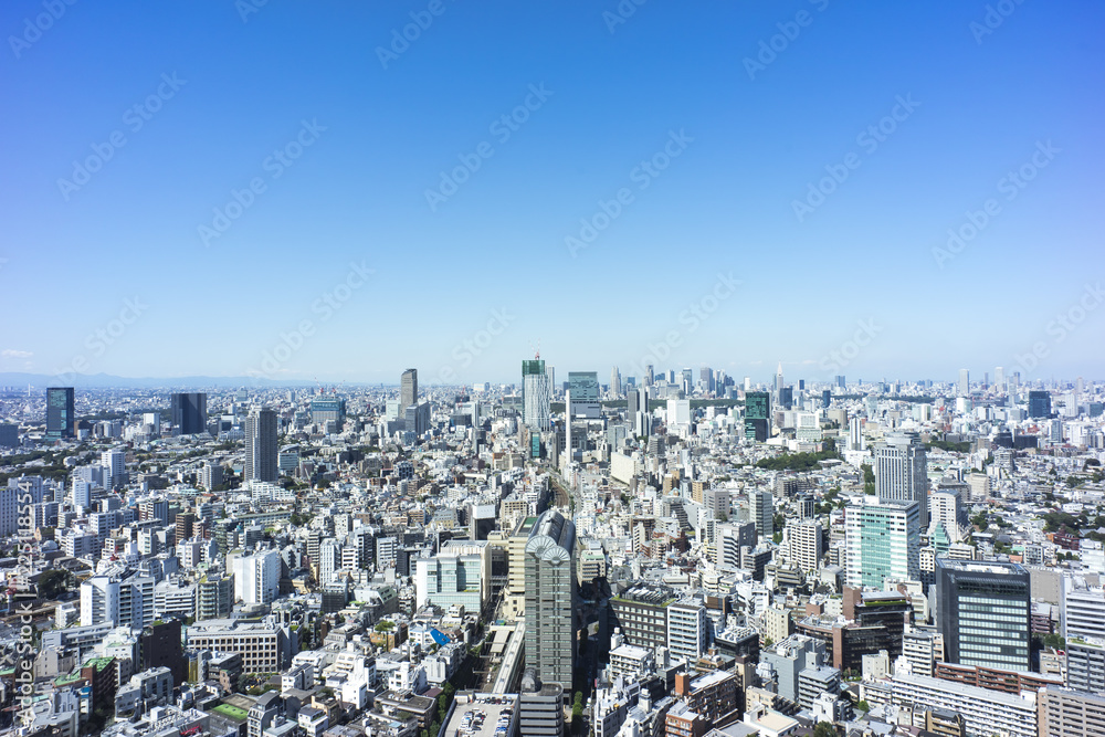 cityscape of tokyo   shinjyuku shibuya meguro