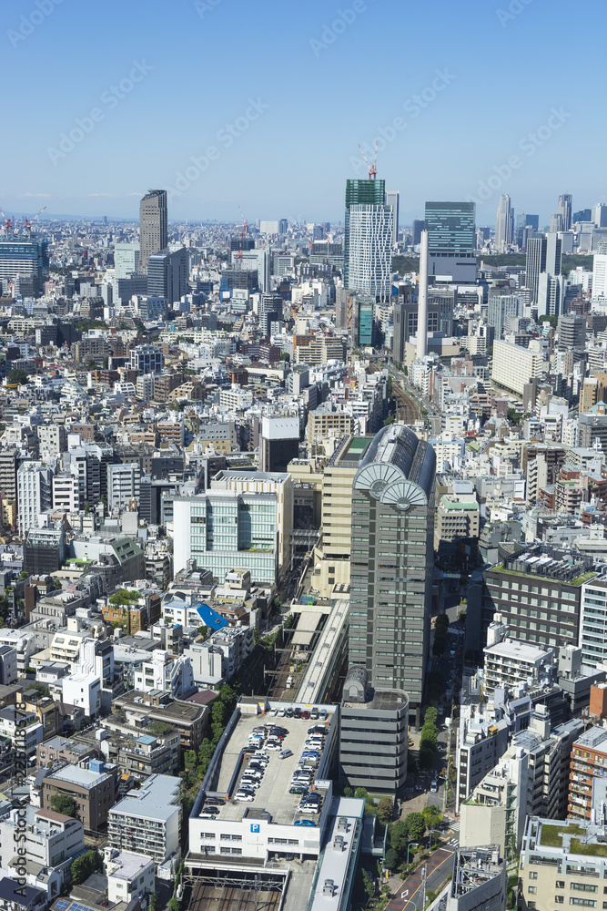 Obraz premium cityscape of tokyo shinjyuku shibuya meguro
