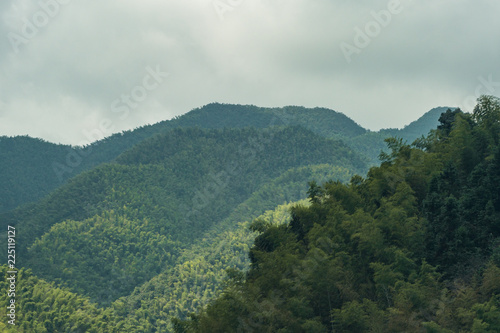 mountain range covered in forest under thick cloud © Yi