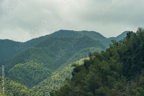 mountain range covered in forest under thick cloud