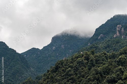 forest covered mountain range with thick cloud covering the peak