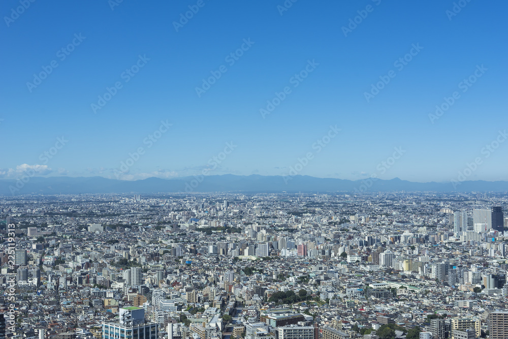view of tokyo from shinjyuku highrise building 