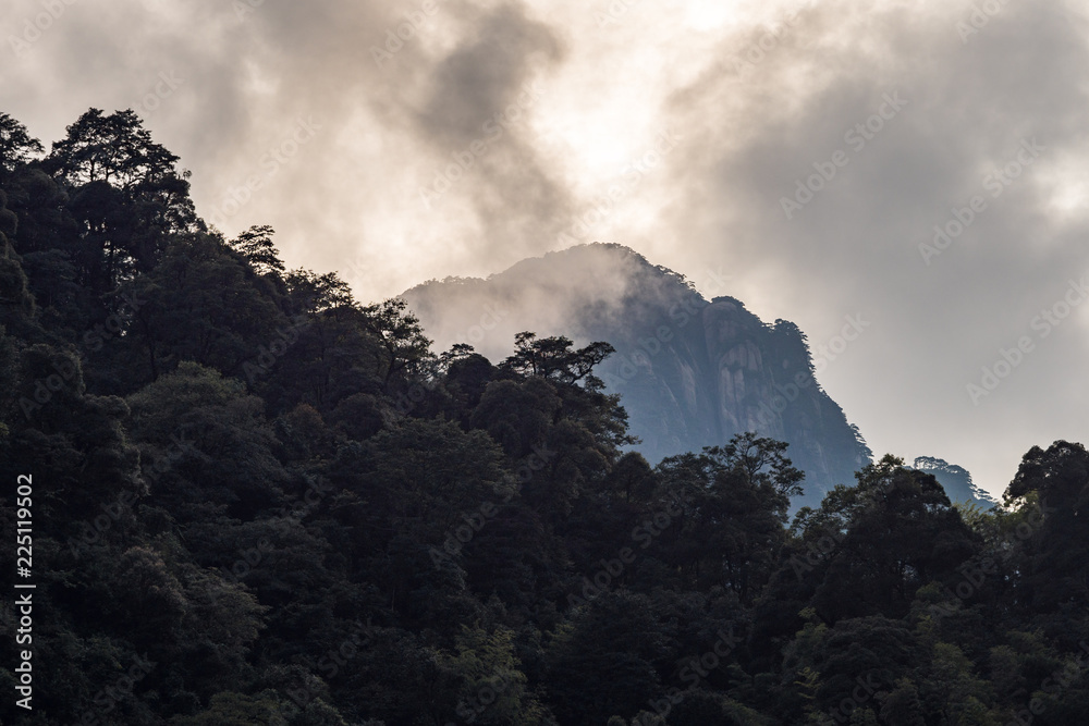 one peak of Mt. SanQiang behind trees under morning mist