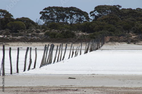 Chinocup Nature Reserve Western Australia, line of wooden fence posts crossing dry salt lake