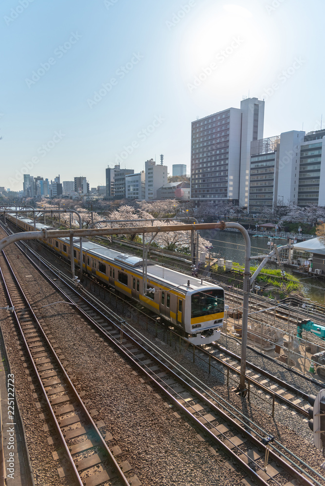 Naklejka premium Cherry blossom around Sotobori Park, Tokyo, Japan. is a famous Cherry blossoms spot that follows along the outer moat of the JR Chuo-Line, Sobu-Line from Iidabashi station to Yotsuya station.