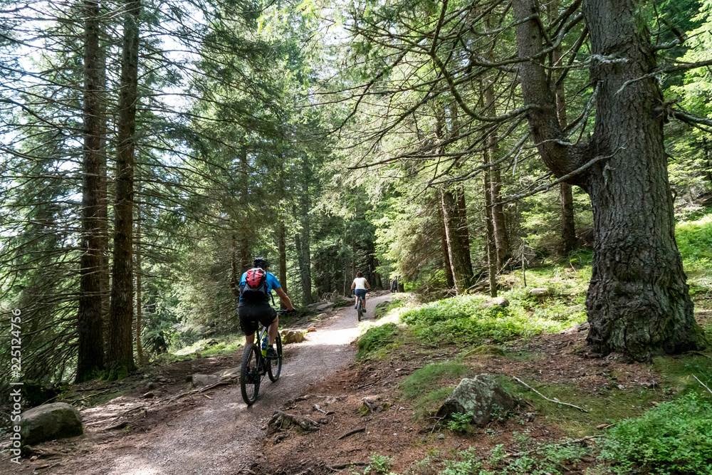 Zwei Mountainbiker auf Radweg durch Wald Zwei Mountainbiker auf Radweg durch Wald