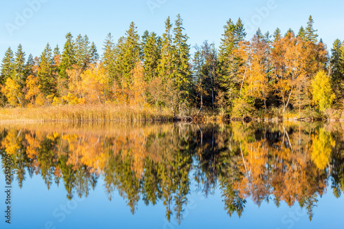 Forest lake with water reflections in autumn