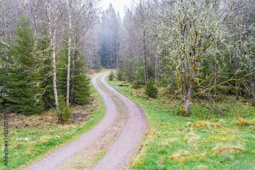 Winding dirt road through the woods © Lars Johansson