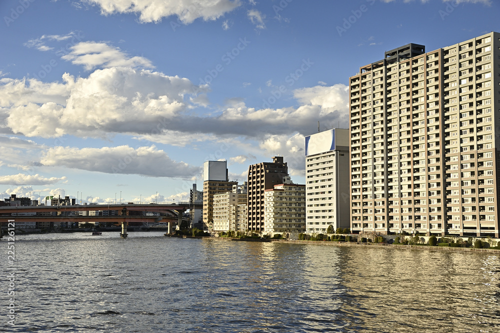 Obraz premium 新大橋から眺める隅田川