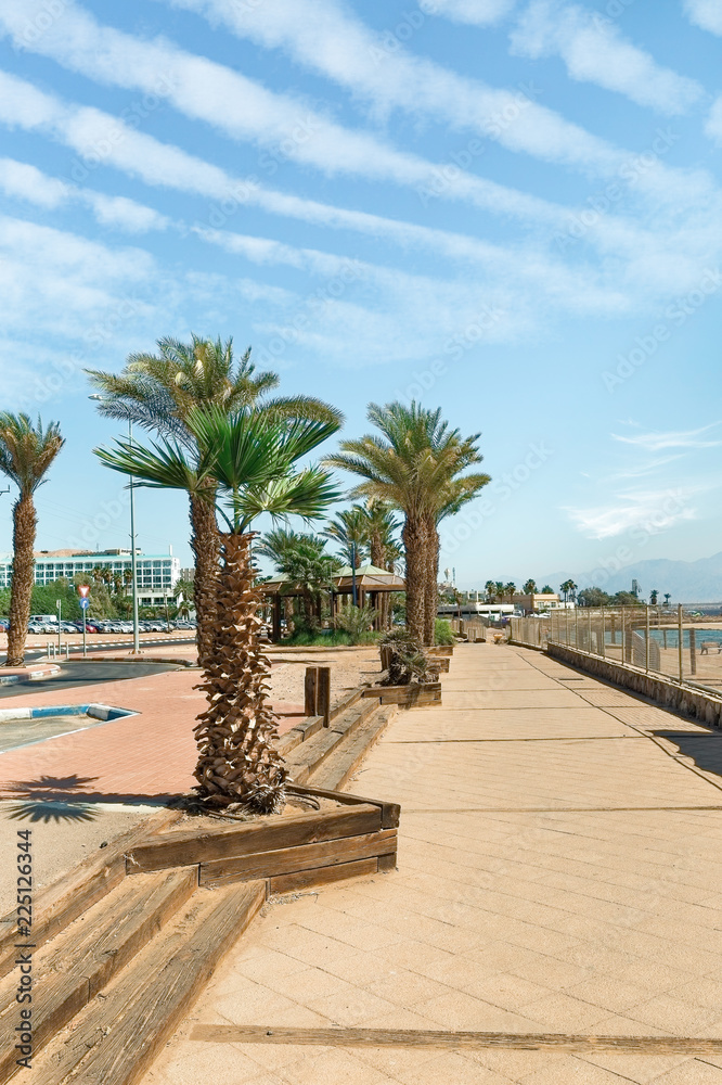 Fototapeta premium promenade in Eilat