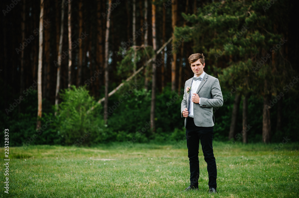 The attractive groom in a suit and bow tie with boutonniere or buttonhole on jacket, is stands on the background greenery in the garden, park. Nature.