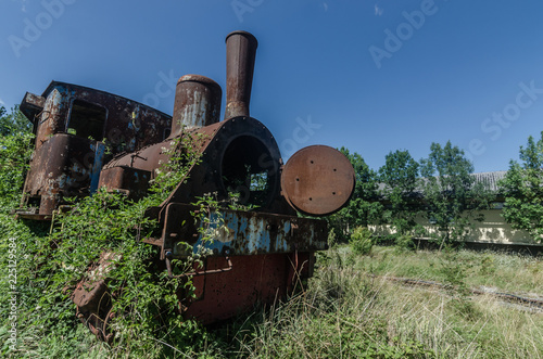 verwachsene dampflokomotive auf einem gelaende photo