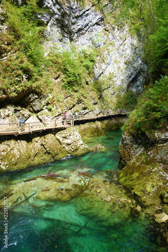 Fototapeta Naklejka Na Ścianę i Meble -  Vintgar gorge with wooden walkway and river Radovna flowing through it near to Bled lake, Slovenia