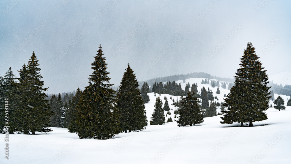 winter landscape with trees winter landscape with trees