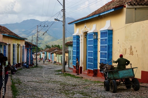 Quadro em tela Kuba