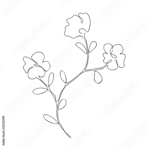 The floral branch with three flowers, decorative summer, spring plant, cherry tree, sakura, one, continuous line art, black outline, vector single, isolated object on the white background