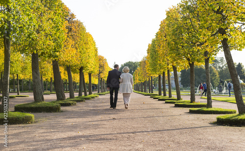 couple, a man and a woman walk together along the alley of autumn trees in the Park