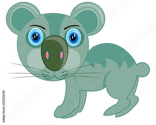 Photography Cartoon of the wildlife koala on white background