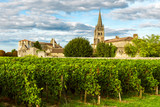 Sunny landscape of bordeaux wineyards in Saint Emilion in Aquitaine region, France