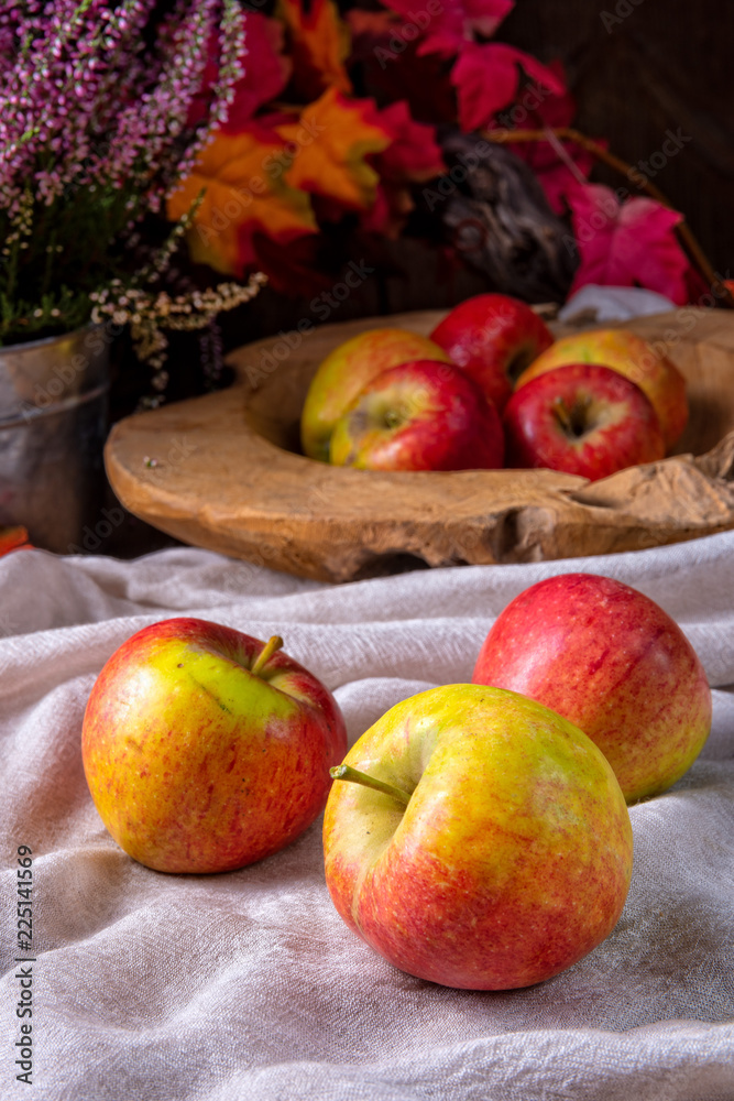 Malus sylvestris, the tasty European crab apple, Malus sylvestris, the tasty European crab apple,