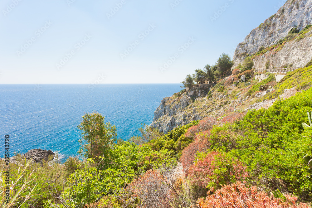 Apulia, Leuca, Grotto of Ciolo - Vegetation at the coastline of Grotto Ciolo Apulia, Leuca, Grotto of Ciolo - Vegetation at the coastline of Grotto Ciolo