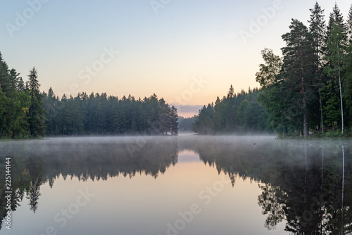 Foggy autumn morning, sunrise in the forest by the lake