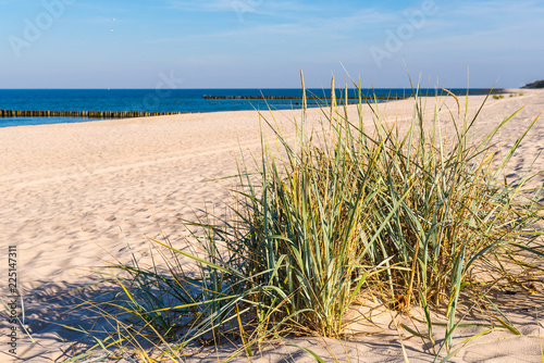 Grass  white sand dunes beach on the shore of the Baltic Sea. Poland.