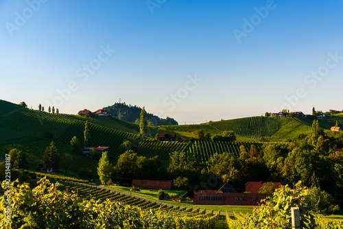 Austria Vineyards Sulztal wine street area south Styria   wine country. Tourist destination