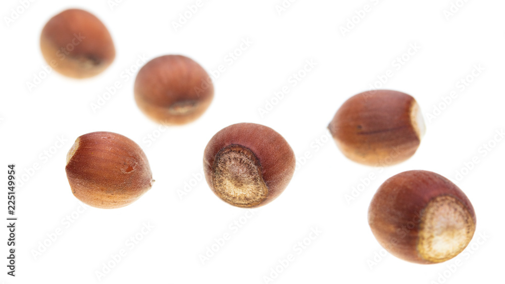 Ripe hazelnut nuts isolated on white background Ripe hazelnut nuts isolated on white background