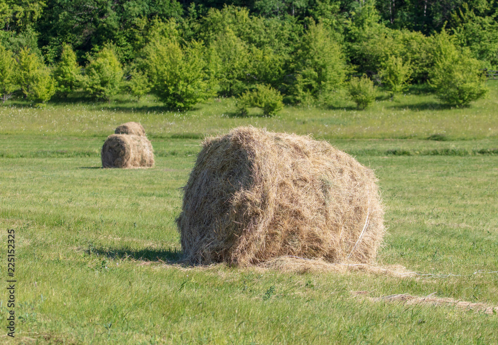 Fresh hay from the field hay in nature Fresh hay from the field hay in nature