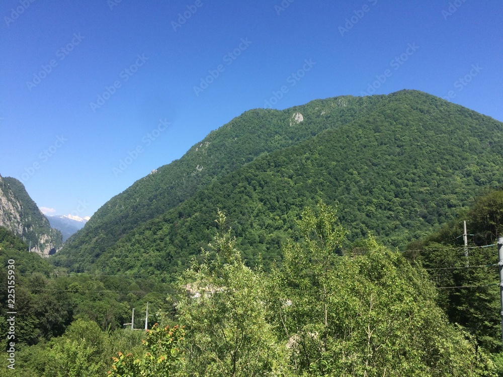 View of the mountains, trees and forest in the sunny summer day. Sochi, Russia.