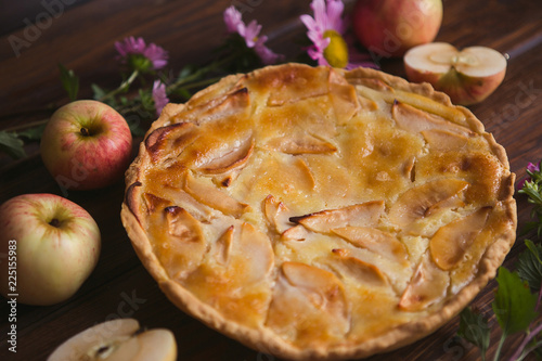 Delicious apple autumn pie on a dark background © Watercolor_Art_Photo