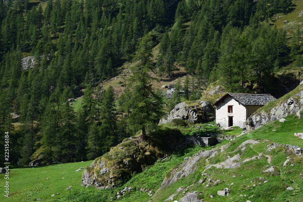 Valle d'Aosta - casolare in montagna