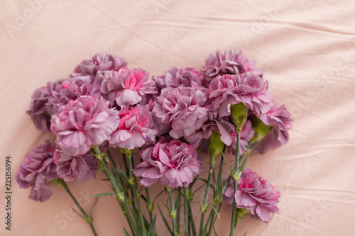 Pink and violet fluffy carnation flowers bouquet on the bed. Pink bedding
