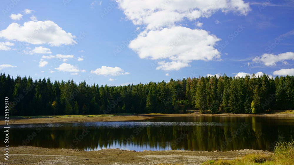 Lake in the forest of the Harz mountains. Picturesque mining pond near Clausthal-Zellerfeld in Lower Saxony, Harz mountains, Germany.
