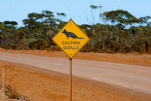 Quolls Warning Sign - Australia