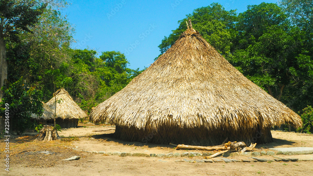 natural ancient reed houses of el pueblito natural ancient reed houses of el pueblito