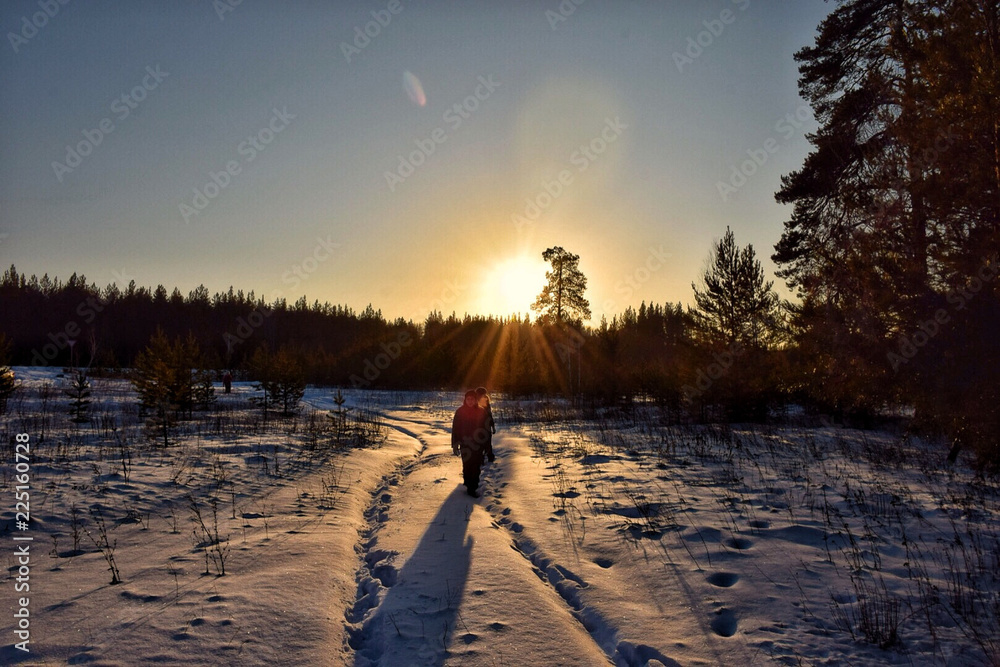Naklejka premium A married couple is walking in the woods