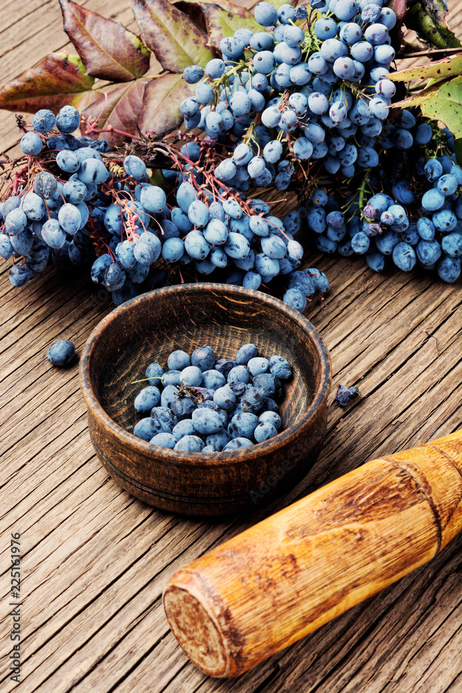 Berries in herbal medicine