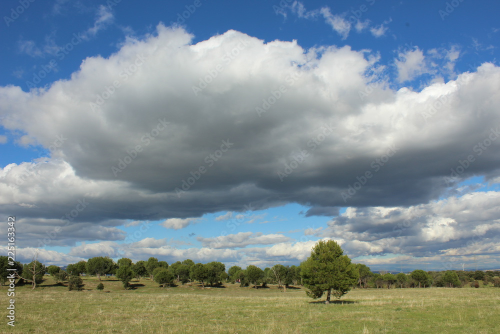 Shadow cloud