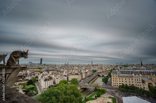 Gargoyle of Notre Dame Cathedral church and Paris cityscape ultra long exposure