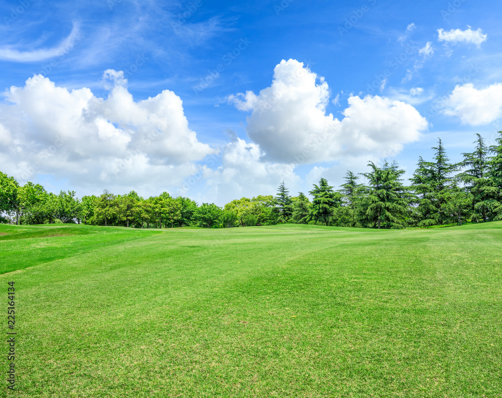 Green square lawn and forest natural landscape in city park Green square lawn and forest natural landscape in city park