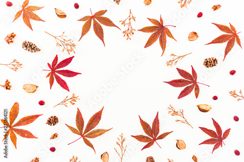 Round frame with autumn fall leaves and dried wild flowers on white background. Flat lay, top view. Autumn composition