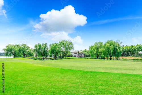Fototapeta Naklejka Na Ścianę i Meble -  Green square lawn and forest natural landscape in city park