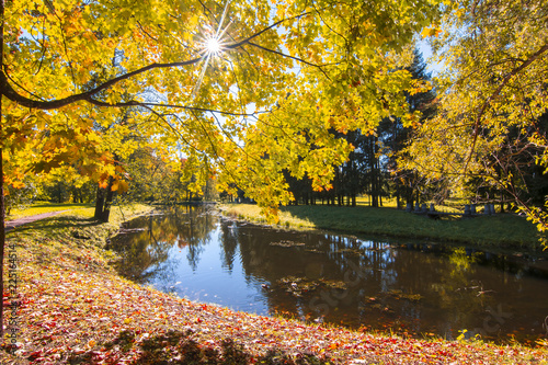 Autumn foliage in Catherine park, Pushkin, Saint Petersburg, Russia