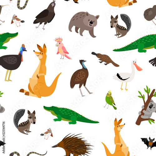Australia animals colorful pattern on white background  vector illustration
