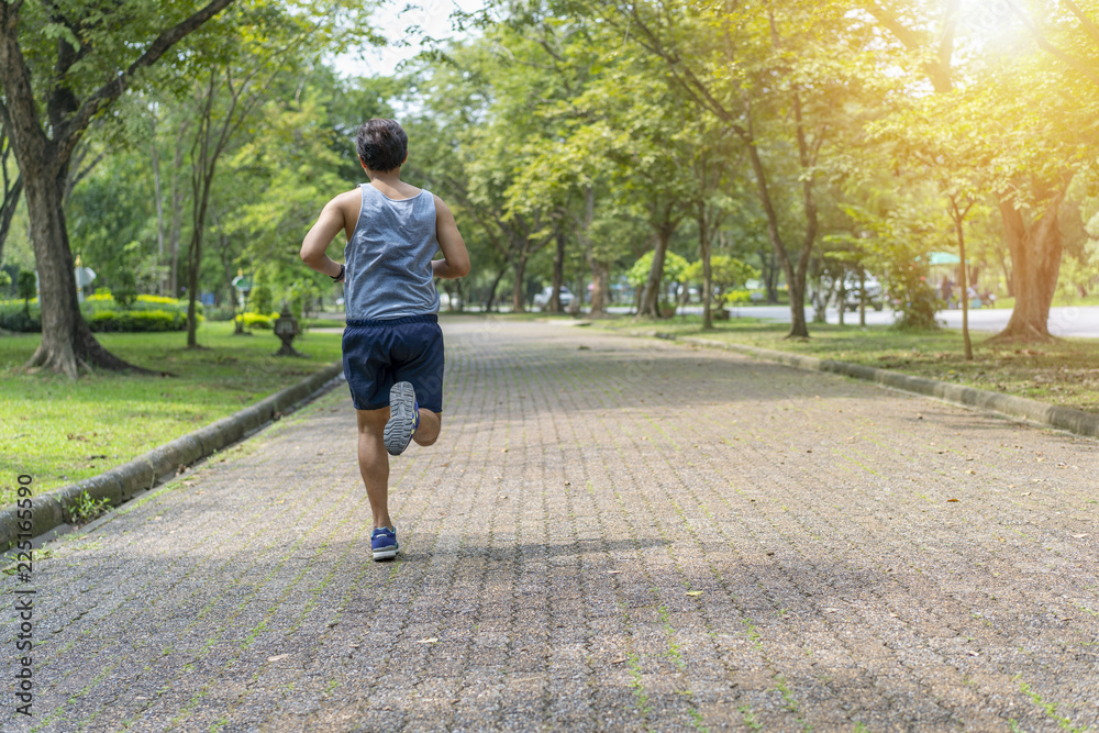 Sporty man jogging or exercise in national park on early morning .Sport concept.